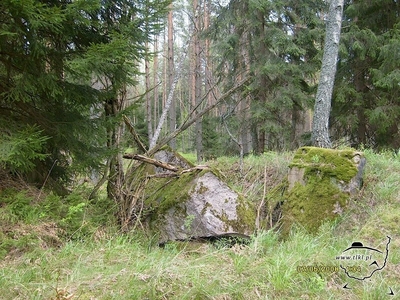 tl444